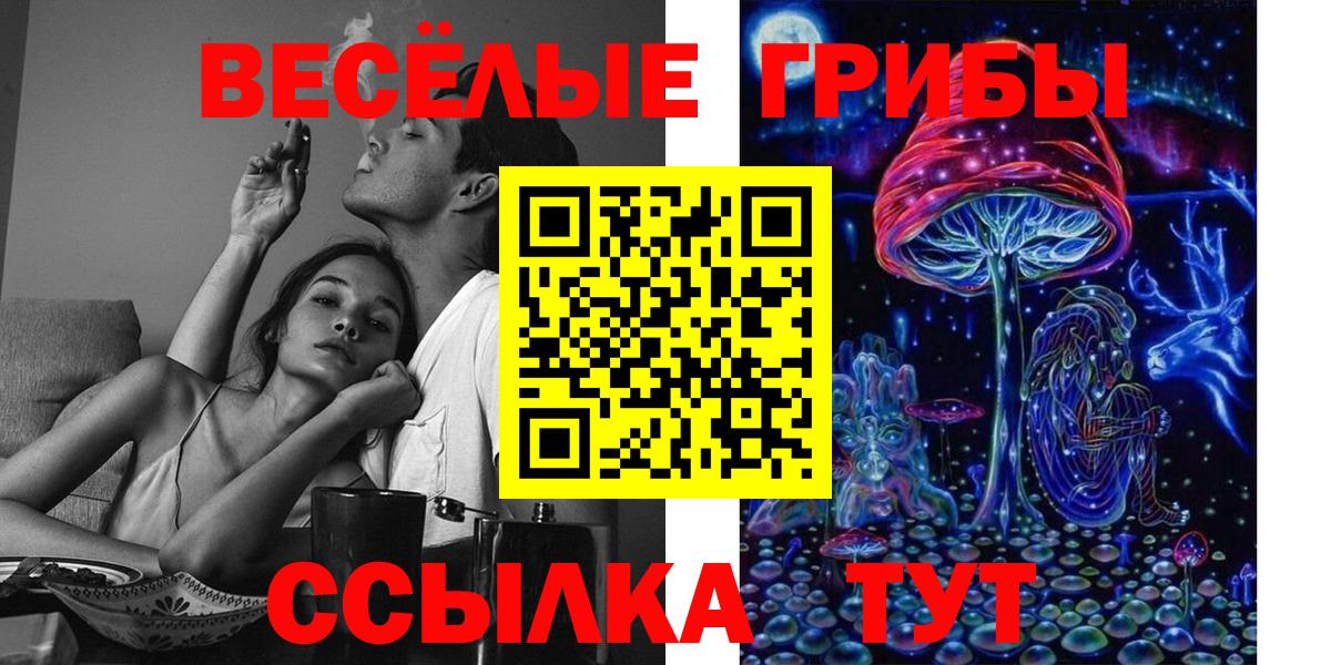 Галлюциногенные грибы MAGIC MUSHROOMS  Вход с VPN  Евпатория 